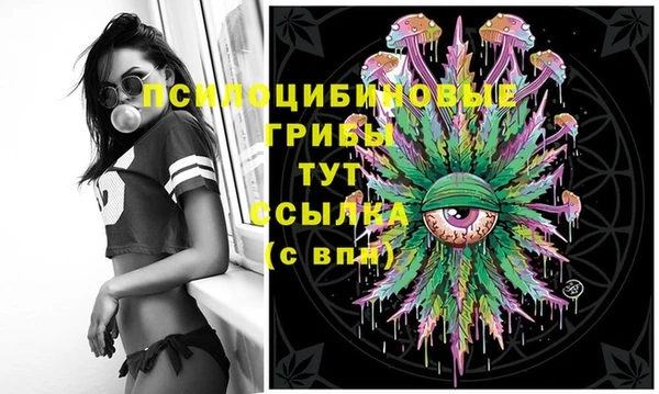 МДПВ Зеленодольск
