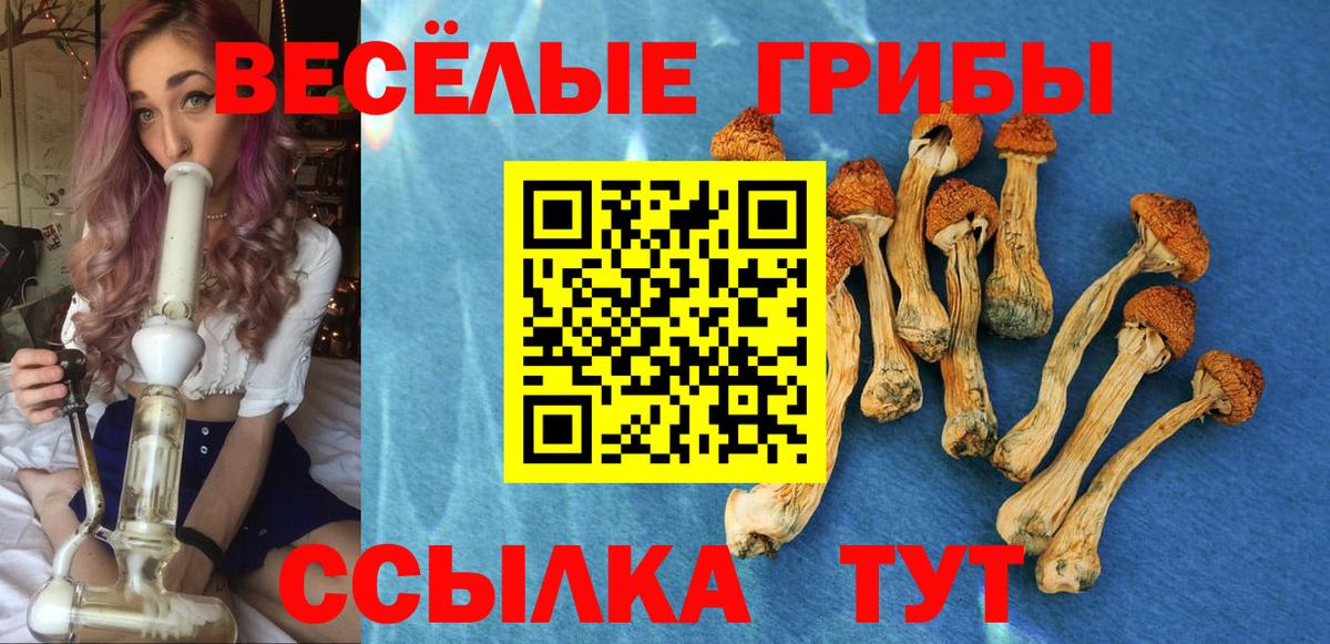 Псилоцибиновые грибы прущие грибы  Вход с VPN  Галлюциногенные грибы ЛСД  Владивосток 
