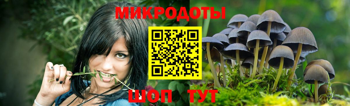 наркота  Владивосток  Галлюциногенные грибы MAGIC MUSHROOMS 